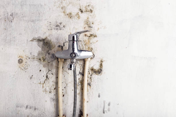 Mold Removal and Inspection in Rancho Tehama Reserve, CA