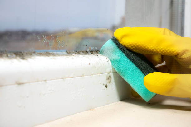 Best Crawl Space Mold Removal  in Rancho Tehama Reserve, CA