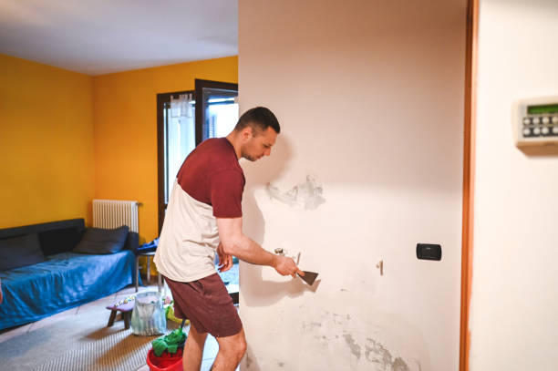 Professional Mold Removal in Rancho Tehama Reserve, CA